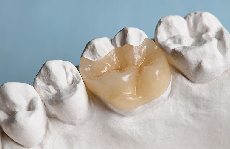 ダミーテキスト